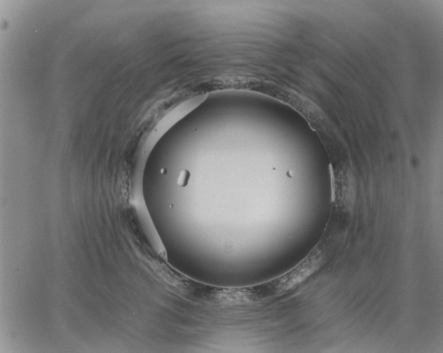 X0000064730762200602171641