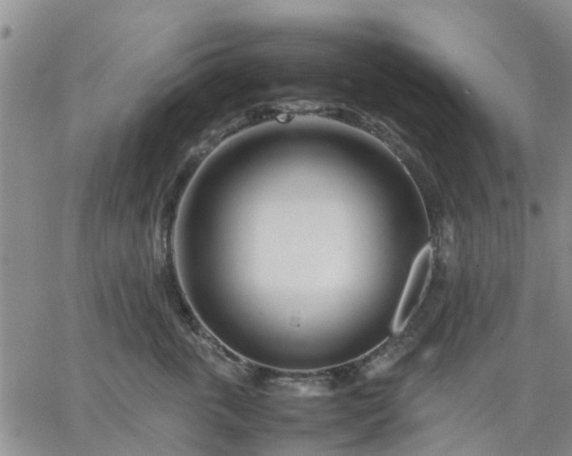 X0000064730763200602171641