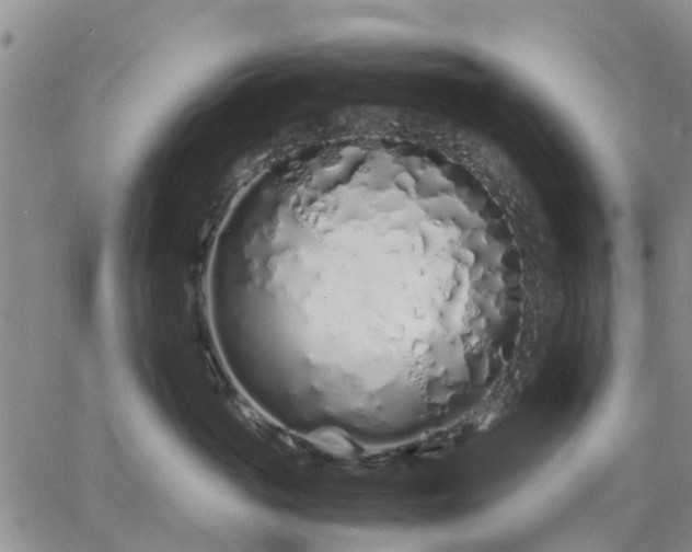 X0000064730765200602171641