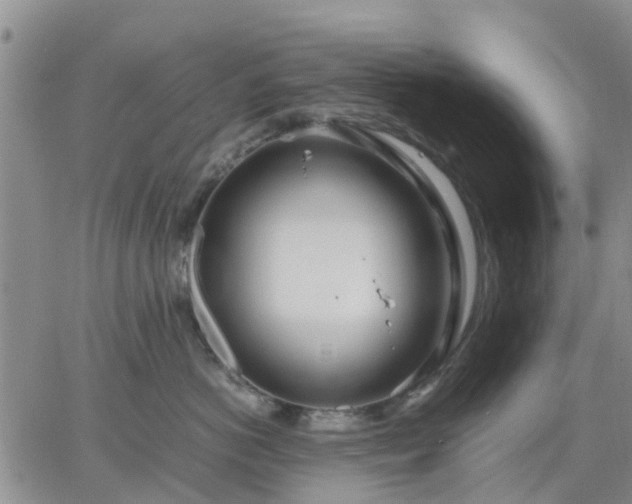 X0000064730766200602171641