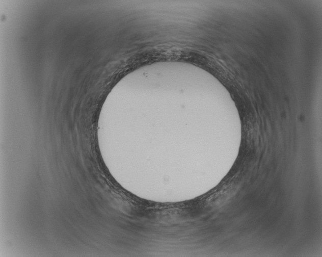 X0000064730769200602171641