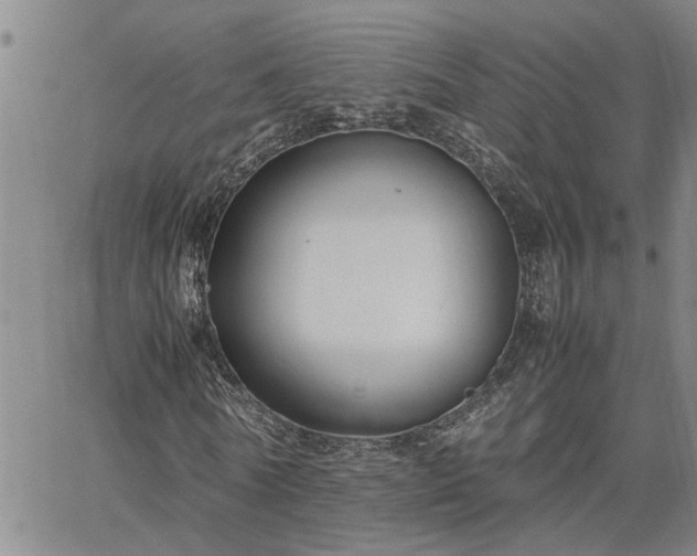 X0000064730770200602171641