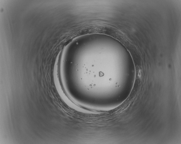 X0000064730771200602171641