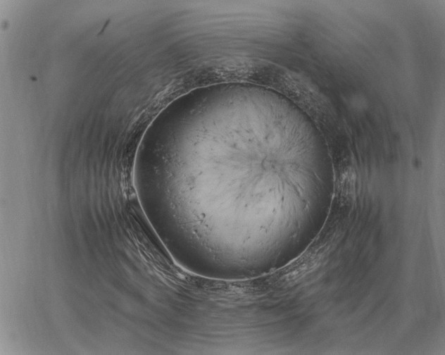 X0000064730772200602171641