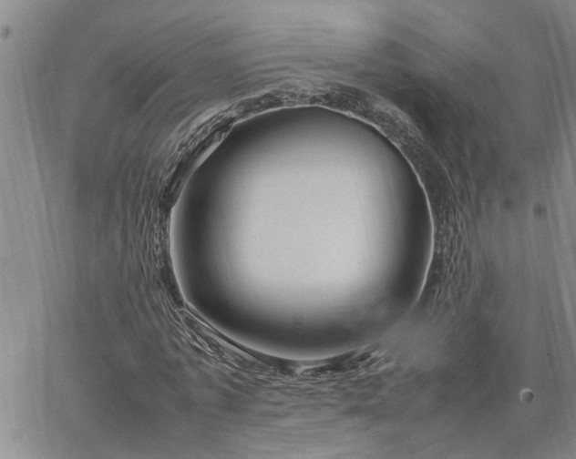 X0000064730773200602171641