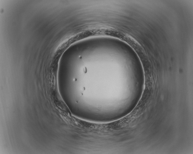 X0000064730775200602171641