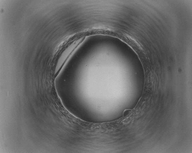 X0000064730776200602171641