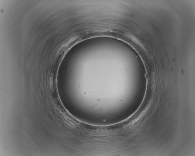 X0000064730777200602171640