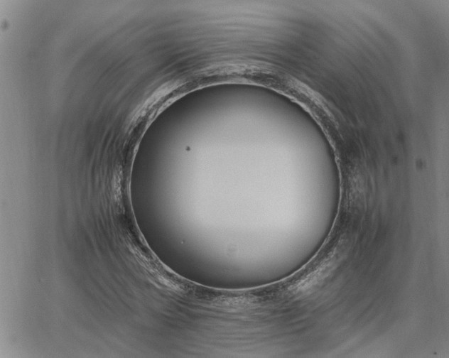 X0000064730778200602171640