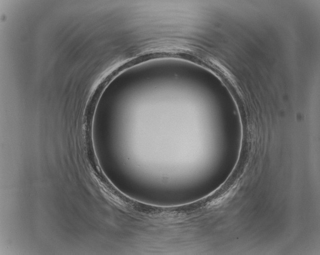 X0000064730779200602171640