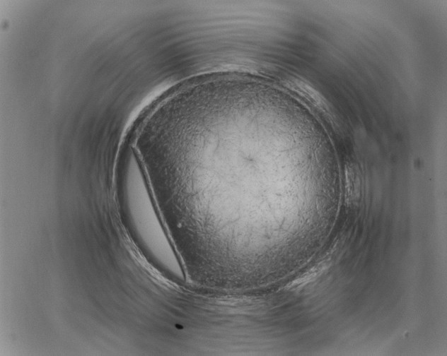 X0000064730780200602171640