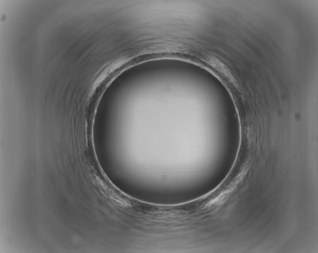 X0000064730781200602171640