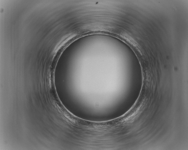 X0000064730782200602171640