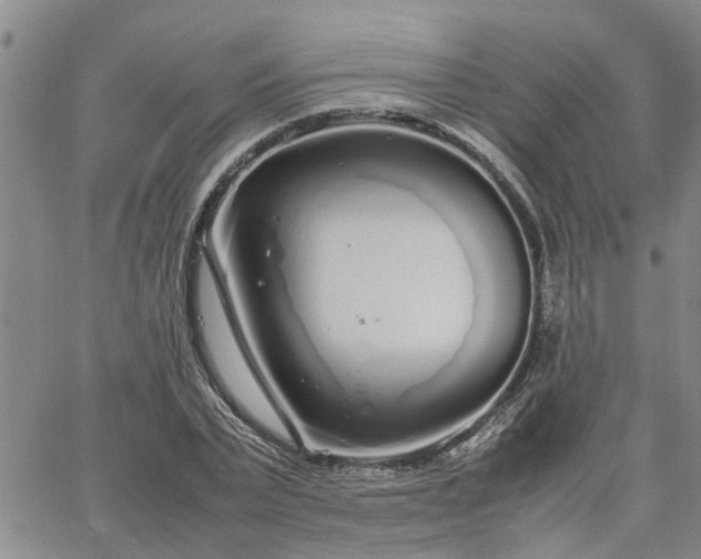 X0000064730783200602171640