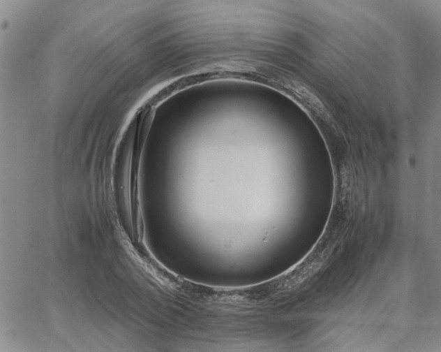 X0000064730784200602171640