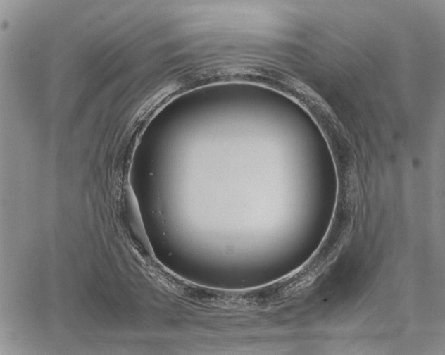 X0000064730785200602171640