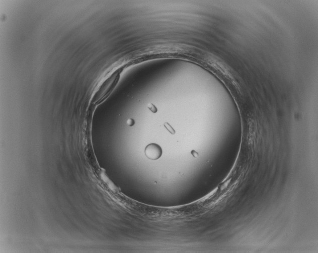 X0000064730786200602171640