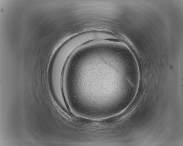 X0000064730787200602171640