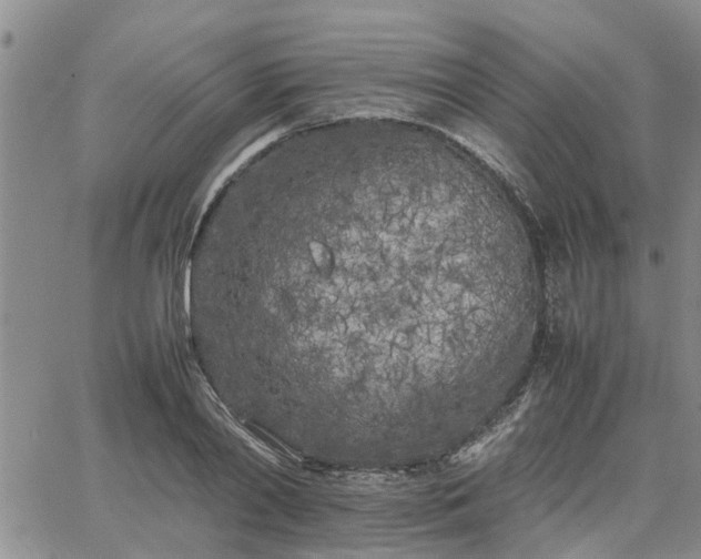 X0000064730790200602171640