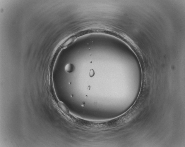 X0000064730791200602171640