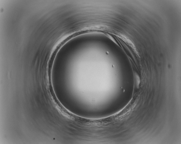 X0000064730792200602171640