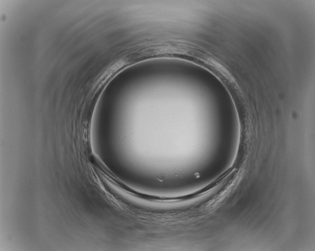 X0000064730793200602171640