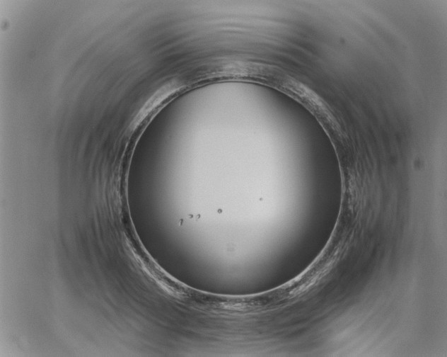 X0000064730794200602171640