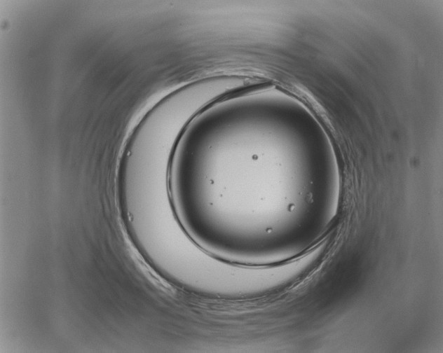 X0000064730795200602171640