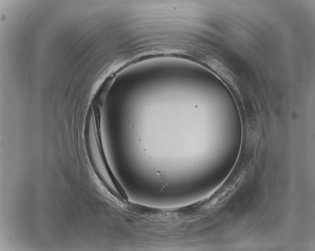 X0000064730797200602171640