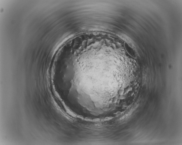 X0000064730798200602171640