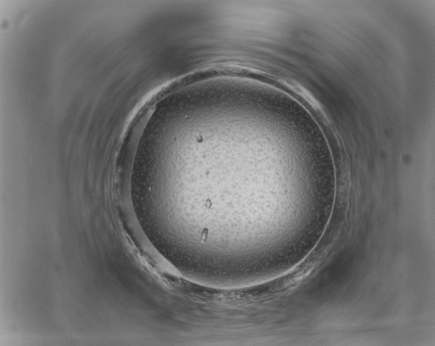 X0000064730799200602171640