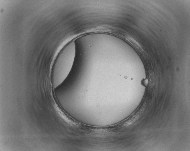 X0000064730800200602171640