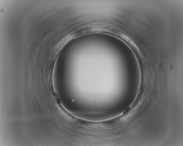 X0000064730801200602171640