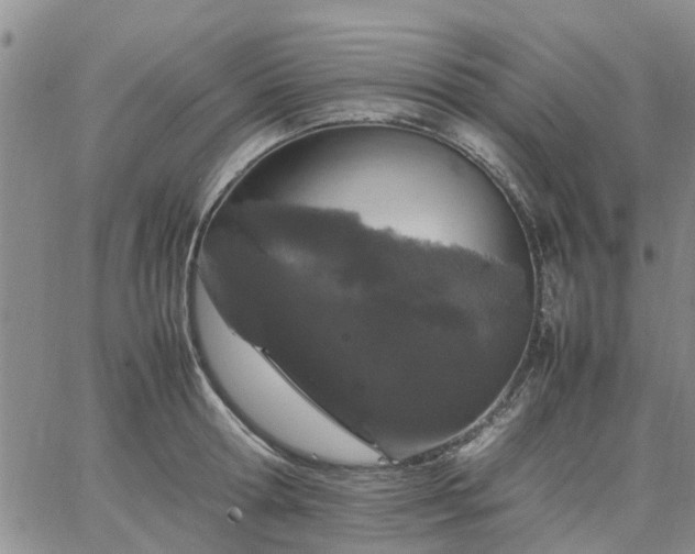 X0000064730802200602171640