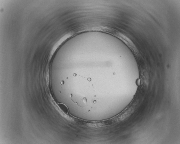 X0000064730804200602171640