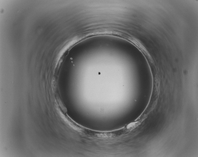 X0000064730805200602171640