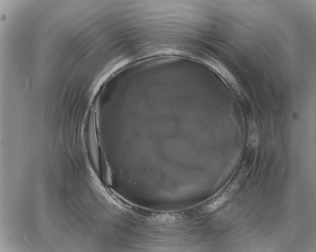 X0000064730806200602171640