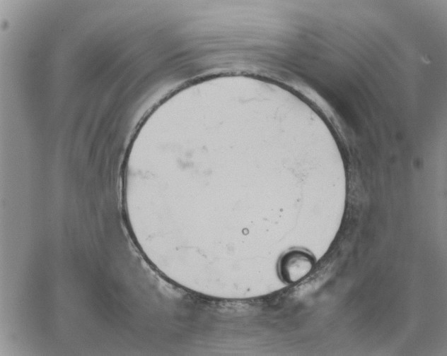 X0000064730807200602171640