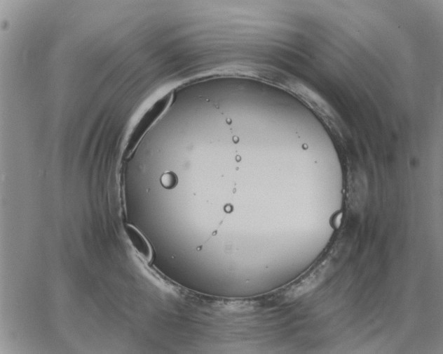 X0000064730808200602171640