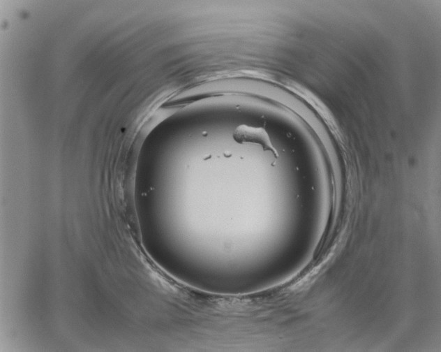 X0000064730809200602171640