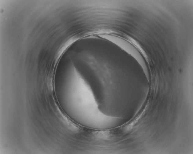 X0000064730810200602171640