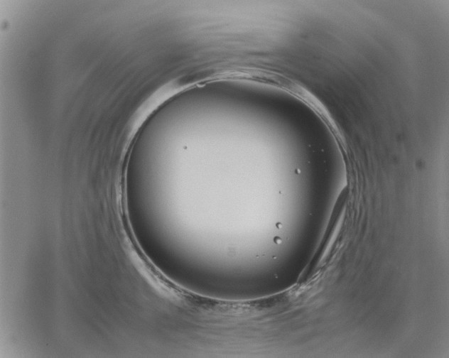 X0000064730811200602171640