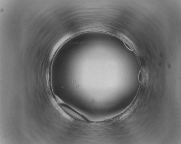 X0000064730812200602171640