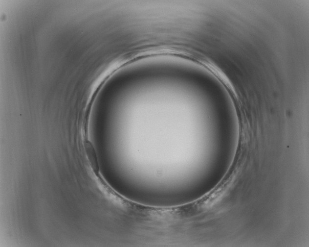 X0000064730813200602171640