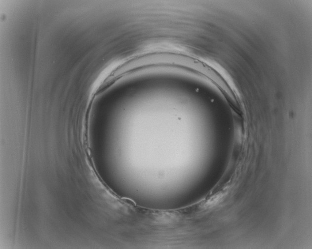 X0000064730815200602171640