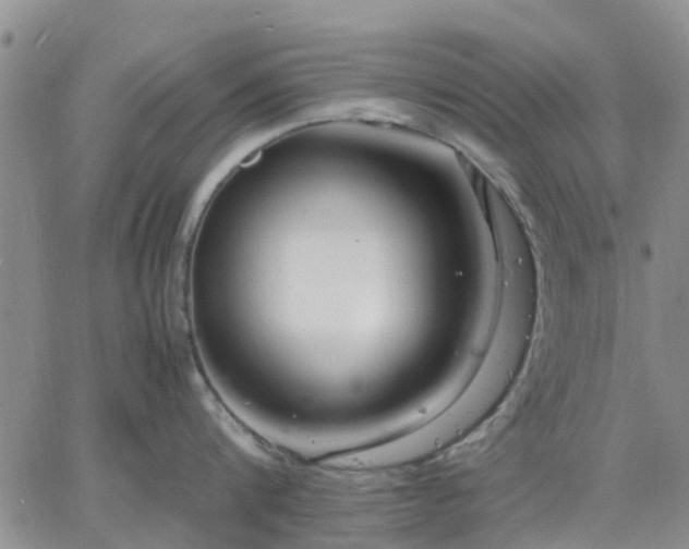 X0000064730816200602171640