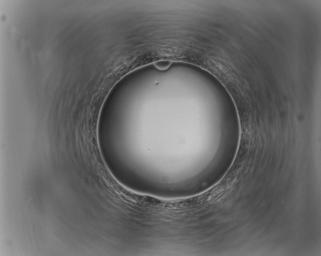 X0000064730817200602171639