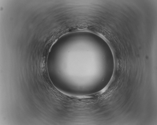 X0000064730818200602171639