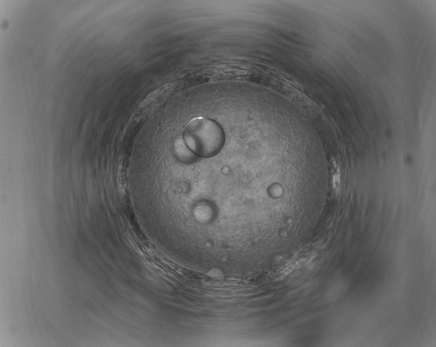 X0000064730819200602171639