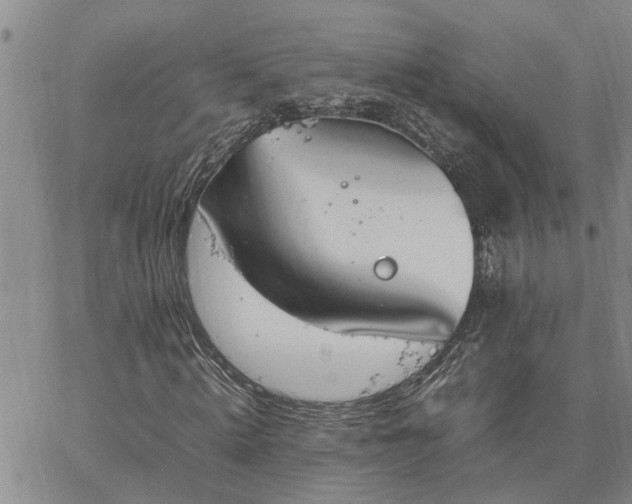 X0000064730820200602171639